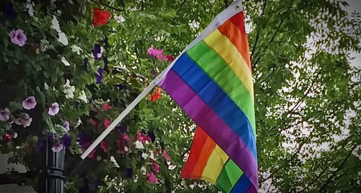 BTB DBPrideFlag062320