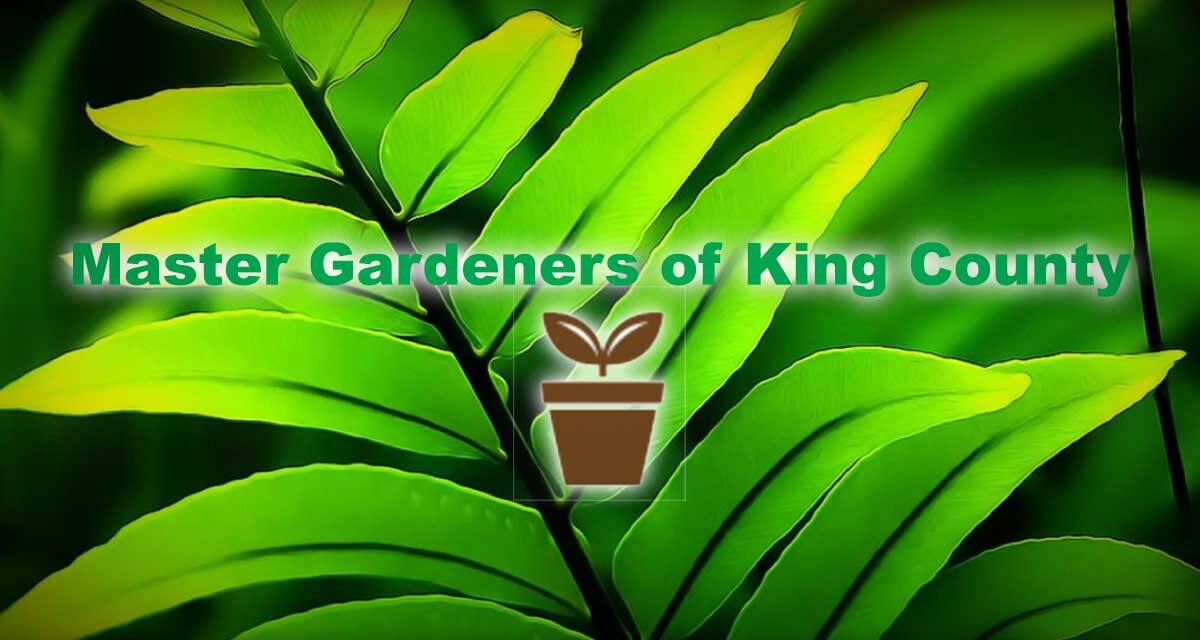 SKM MasterGardenersofKingCounty20