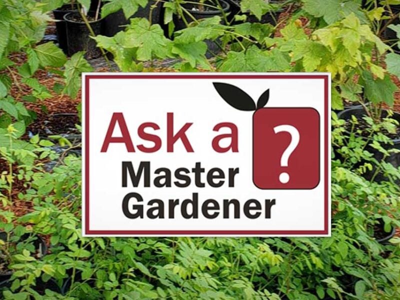SKM AskAMasterGardener2021 2