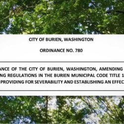 Understanding Burien’s new Tree Regulations