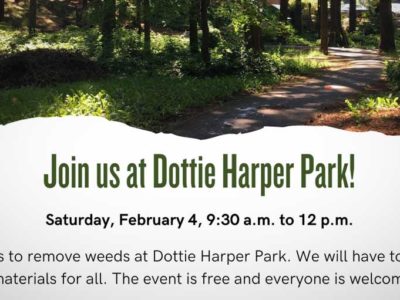 Volunteers needed to help save large trees at Dottie Harper Park this Saturday, Feb. 4