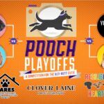 Who's got the cutest pet? 'Pooch Playoffs' starts Sunday, June 4