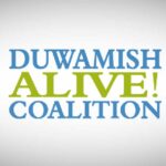 Volunteers needed for Duwamish Alive! Salmon Homecoming on Saturday, Oct. 21