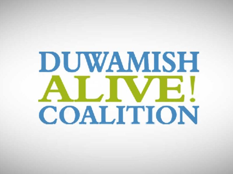 Volunteers needed for Duwamish Alive! Salmon Homecoming on Saturday, Oct. 21
