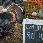 Krull Family's annual 'Dinner or Pardon' turkey food drive will benefit Transform Burien, and has begun in Normandy Park