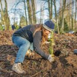 Volunteers needed for Port of Seattle Community Tree Planting on Saturday, Dec. 2