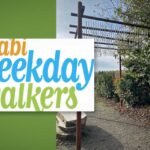 WABI Weekday Walkers will explore Duwamish Gardens park on Wednesday, Nov. 15