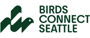 Birds Connect Seattle
