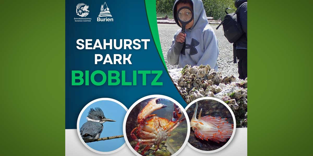 BTB-ESCSeahurstParkBioblitz24