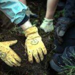 Volunteer to help local parks on MLK Day of Service in Burien and SeaTac this Monday, Jan. 19