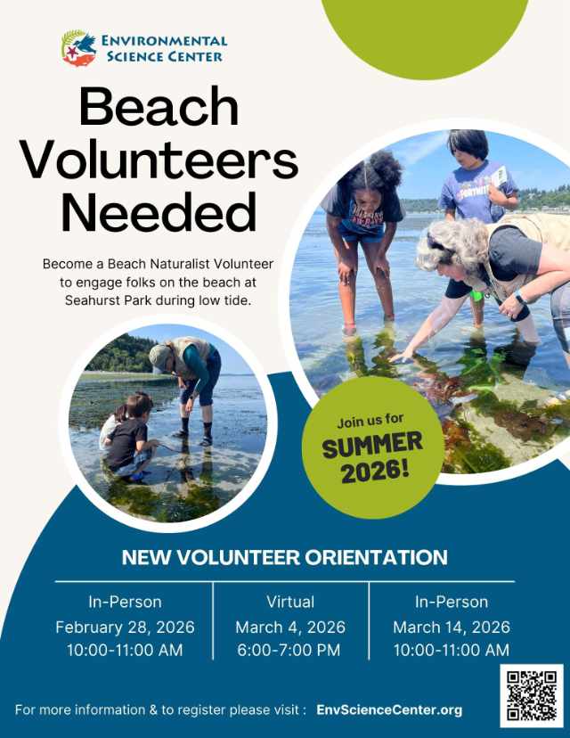 2026 Beach Volunteers Needed Flyer 640