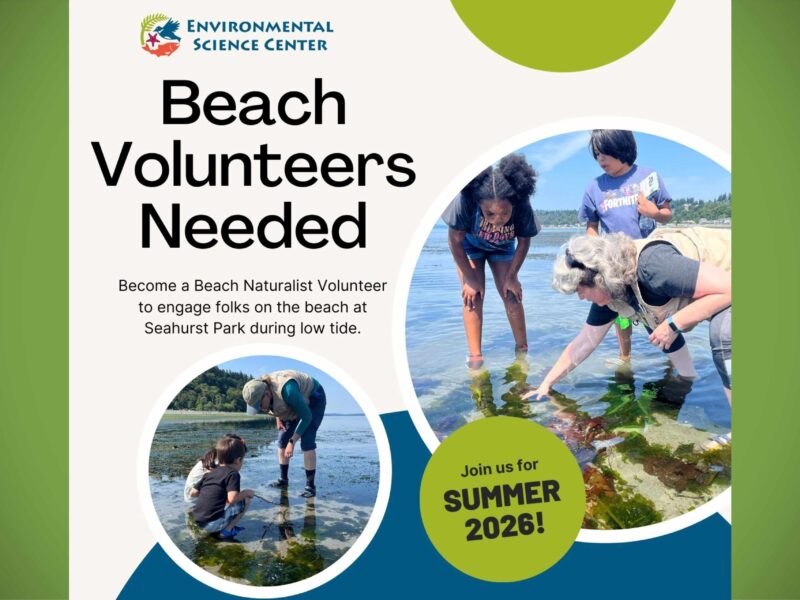 BTB ESCVolunteersNeeded2026