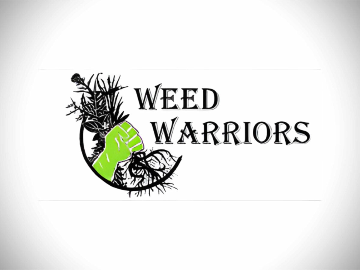 Weed Warriors to host public tour of Myers Way Wetland on Friday, Feb. 27