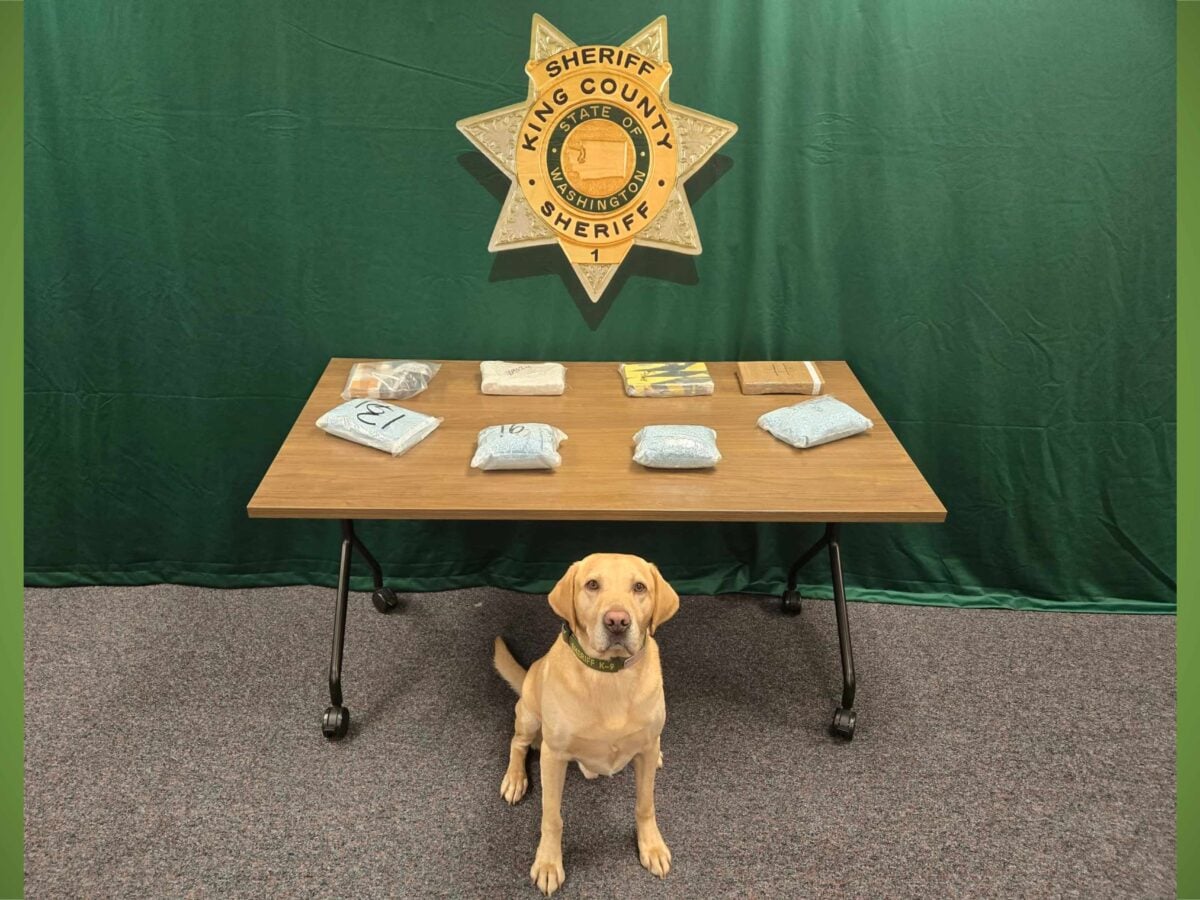 BTB KCSO=K9QuinnMar26DrugBust