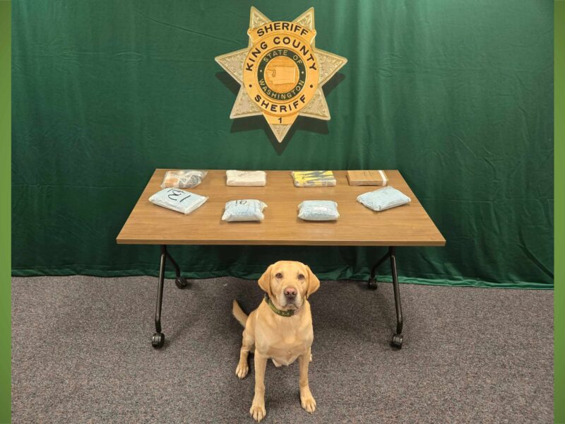 BTB KCSO=K9QuinnMar26DrugBust