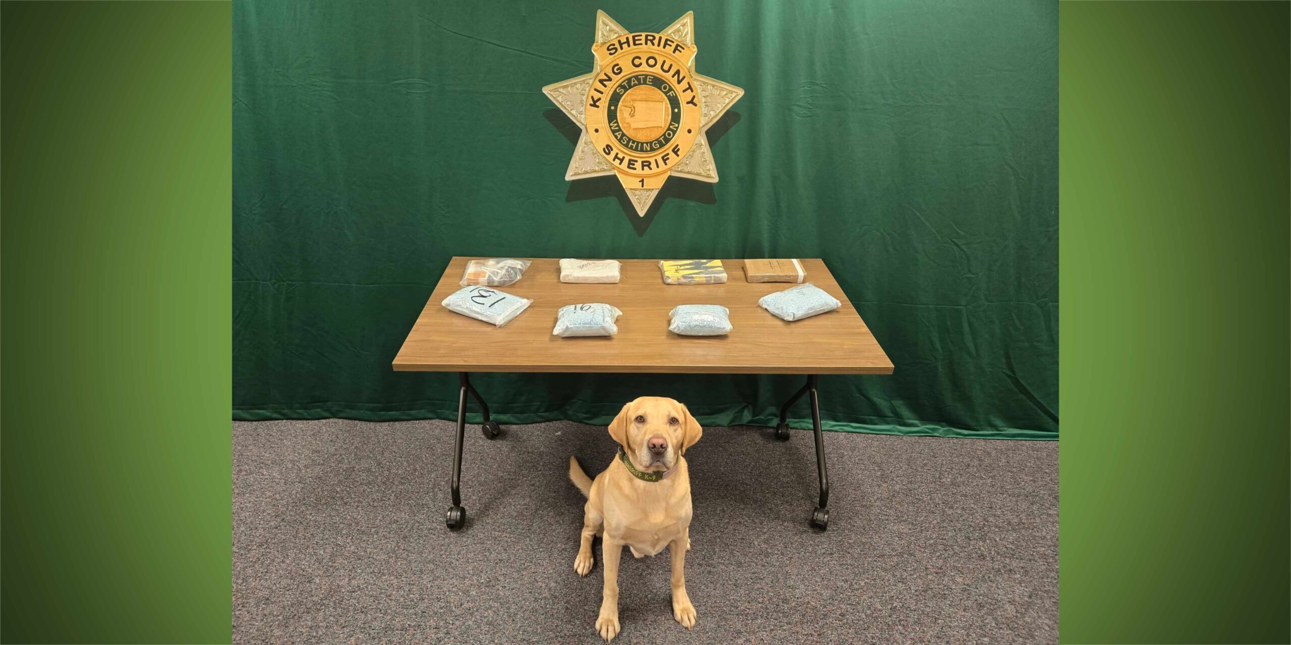 K9 Quinn helps deputies seize fentanyl powder and 40,000 pills in major ...
