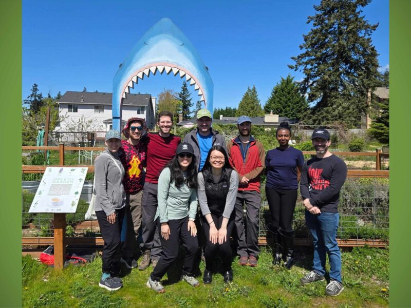 BTB SharkGardenGroup26