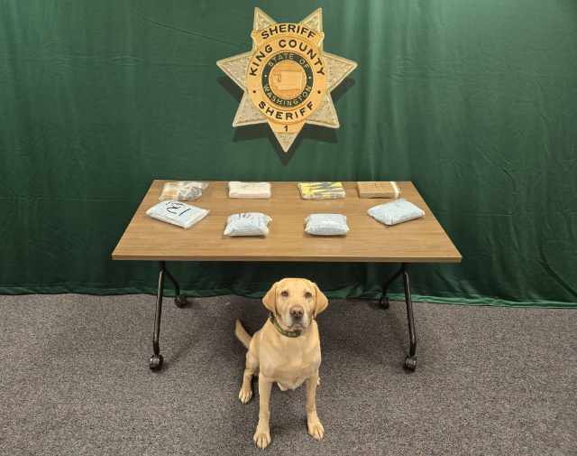 KCSODrugBustQuinnMar26 01 640