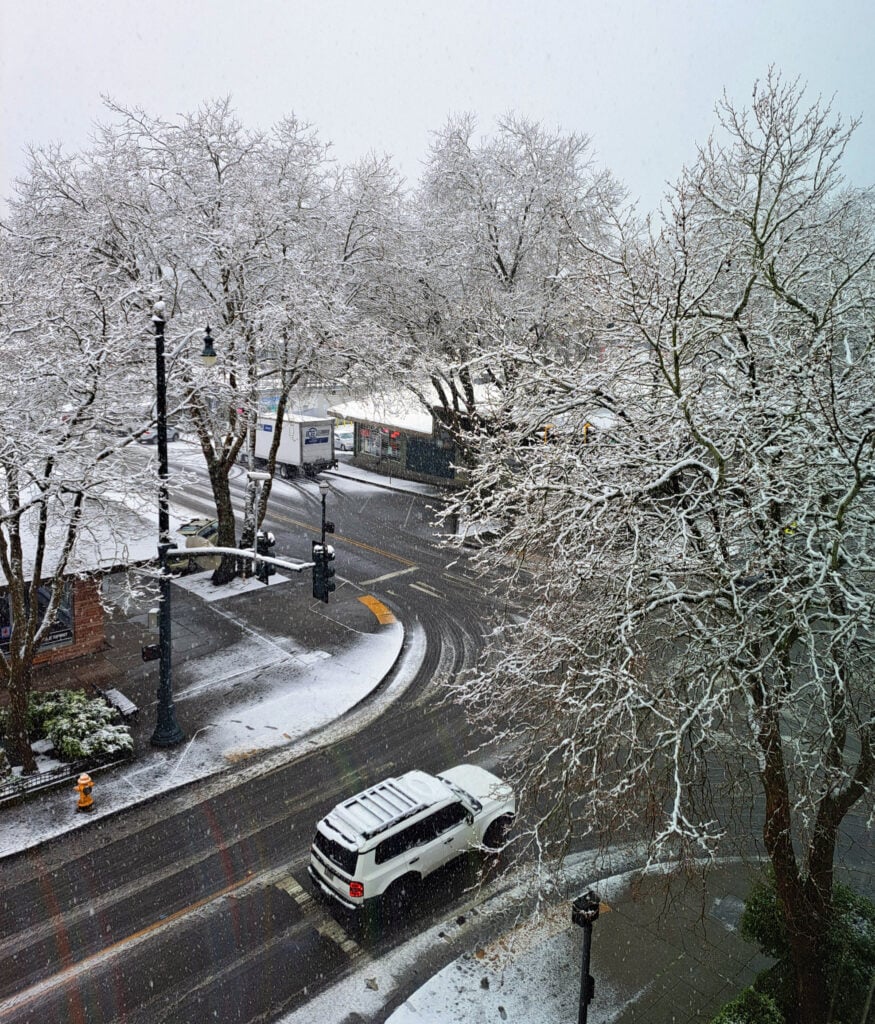 MaryAnnNewtonSnow031326 20260313 104444 2b