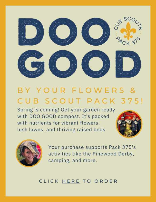 ScoutTroop375DooGoodFlyer 640