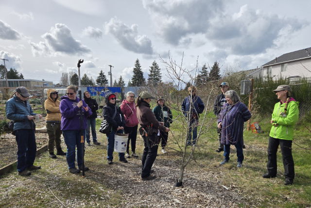 SharkGarden 20250322 151946 640