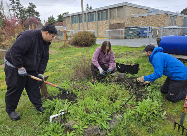 SharkGarden 20250331 110039 640