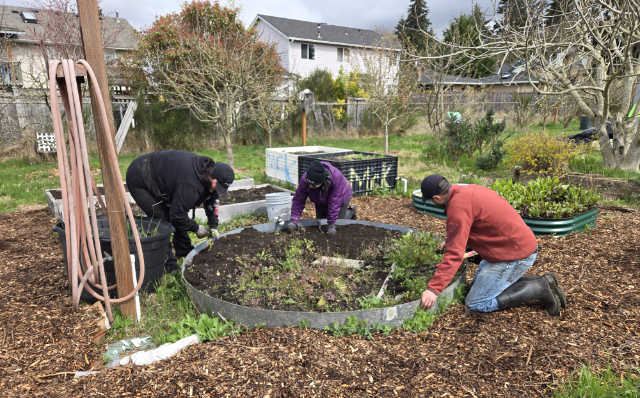 SharkGarden 20250331 124000 640