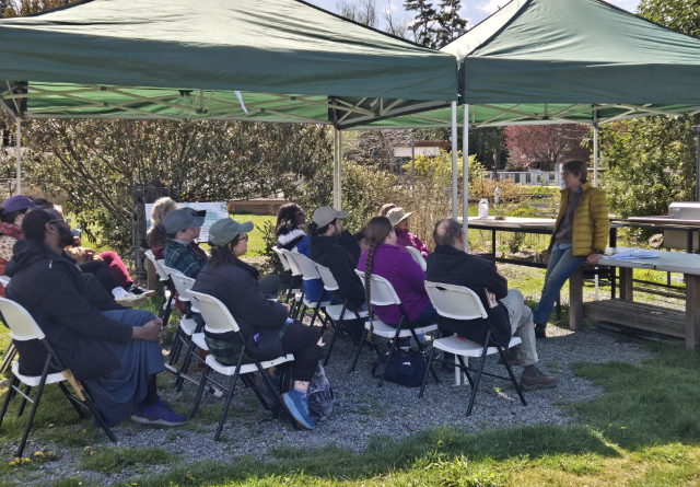 SharkGarden 20250412 130602 640