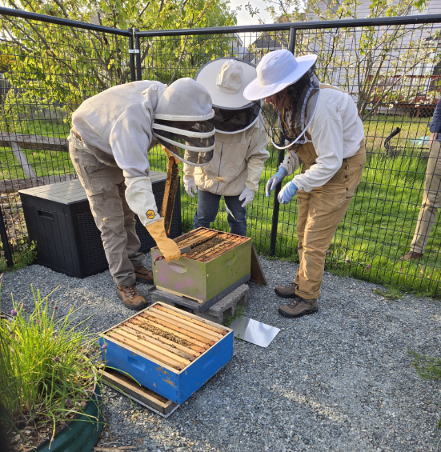 SharkGarden 20250424 184116 640