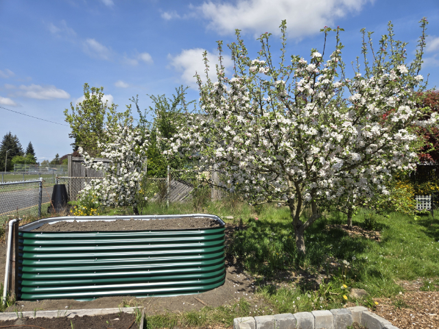 SharkGarden 20250430 133326 640