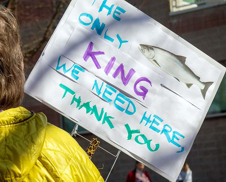 img 8427 55174528630 o