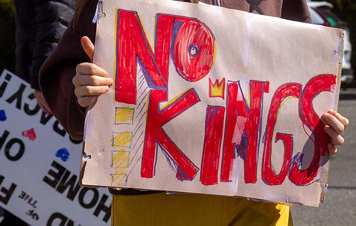 img 8441 55174384069 o