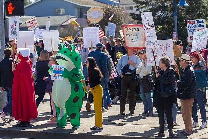 img 8512 55174528140 o