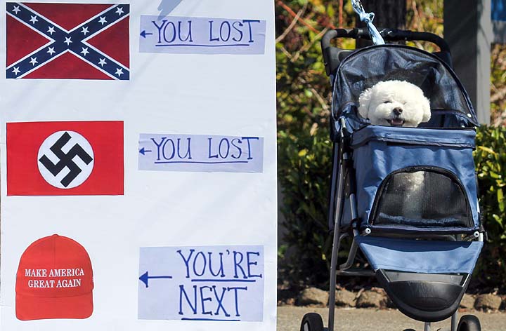 img 8679 55174382974 o