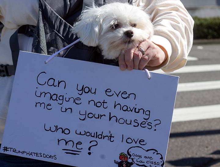 img 8722 55173237527 o