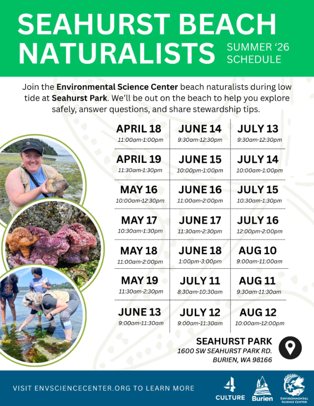 ESC Summer 2026 Beach Flyer 640