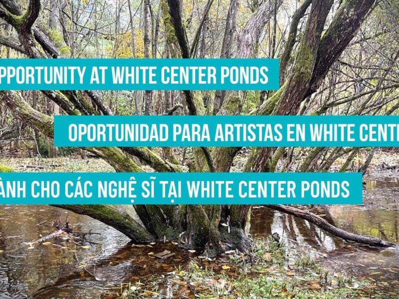 WCB 4CultureCallForArtWCPonds