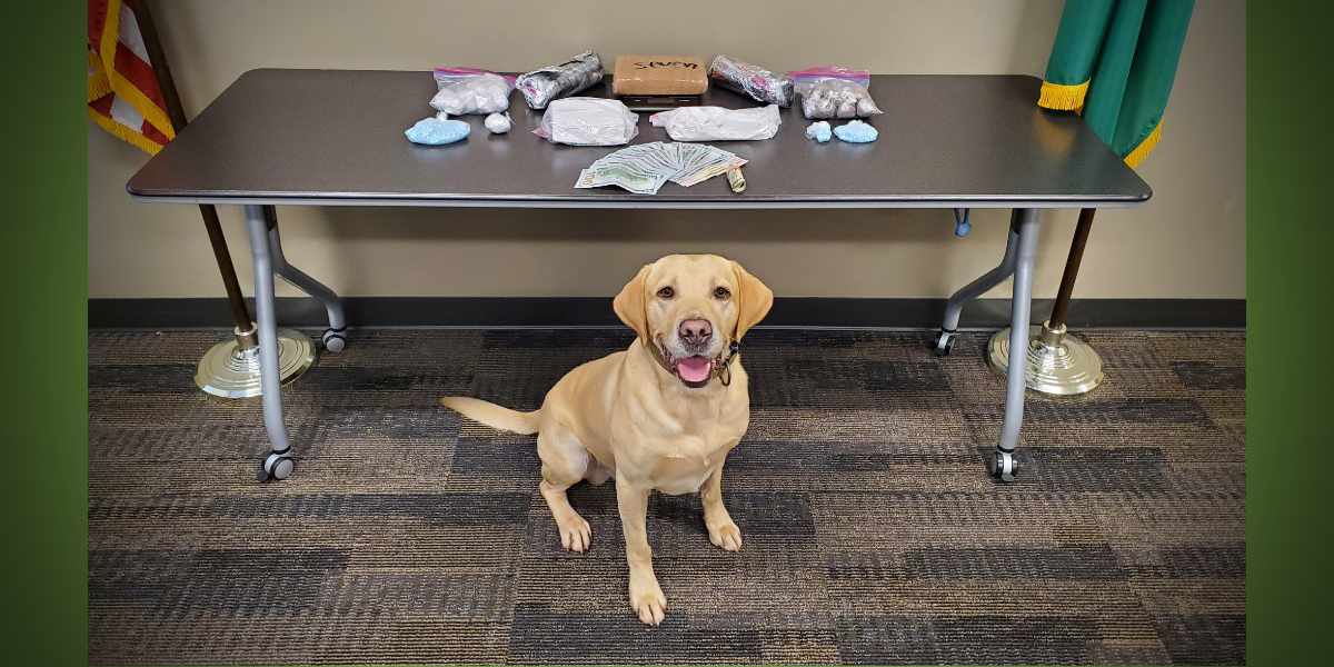 BTB KCSO K9Quinn053026