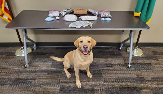 KCSO K9Quinn2026 640