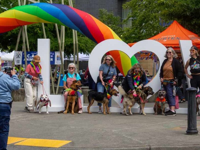 BTB BurienPrideCARESDogs060726