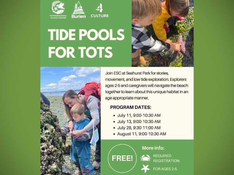 Environmental Science Center’s free ‘Tide Pools for Tots’ returns to Seahurst Park starting Saturday, July 11