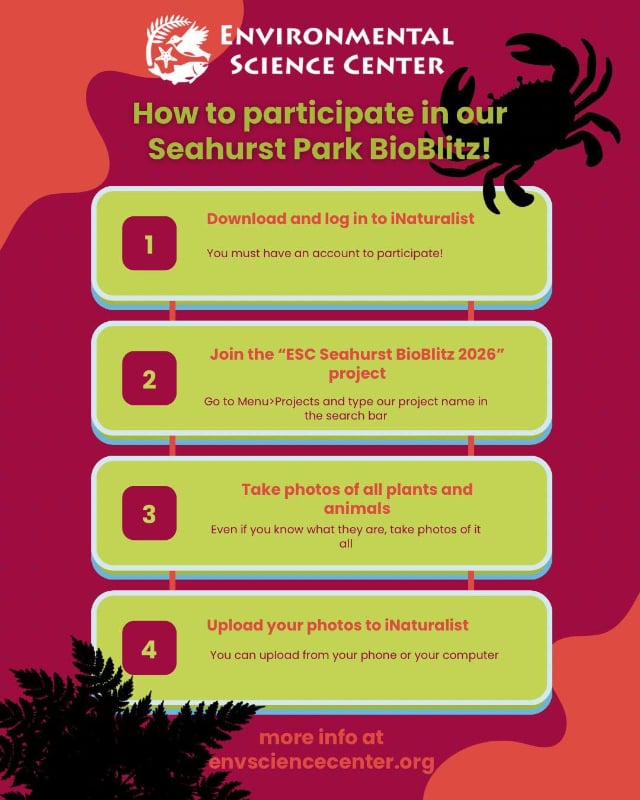 How to Participate in the Seahurst BioBlitz 640