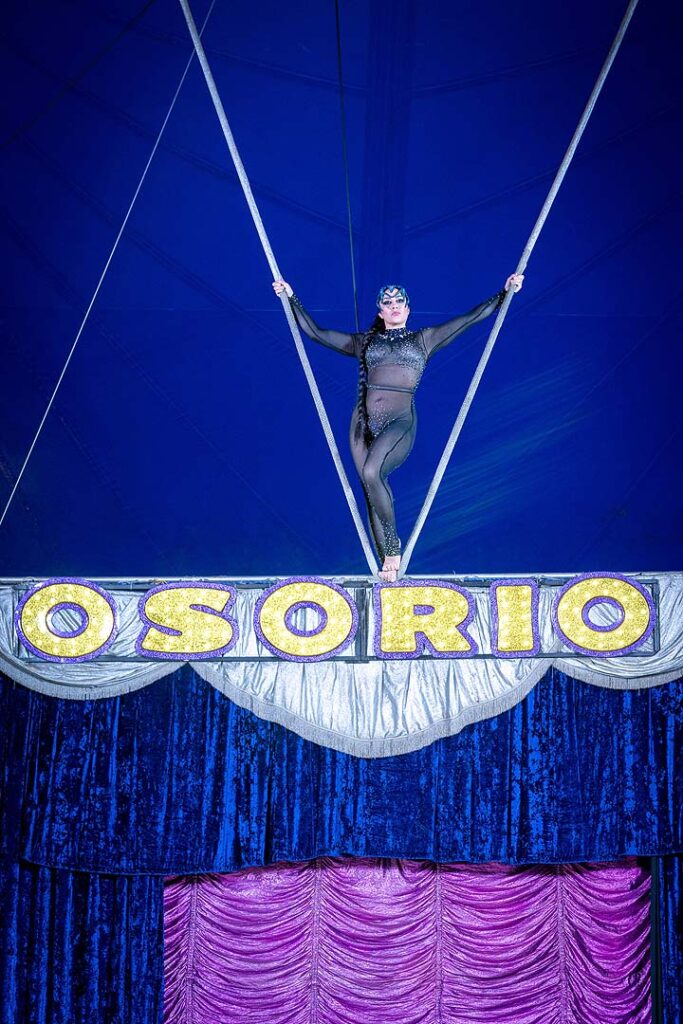 Osorio 502342