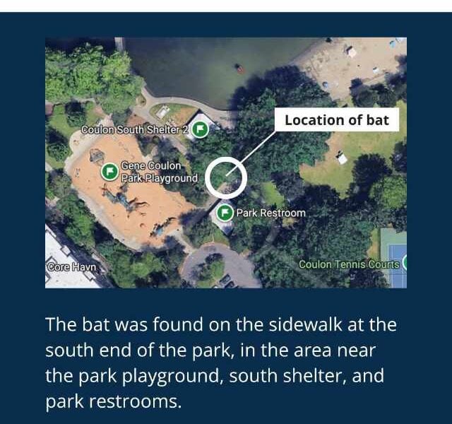RabidBatCoulonPark 01 640