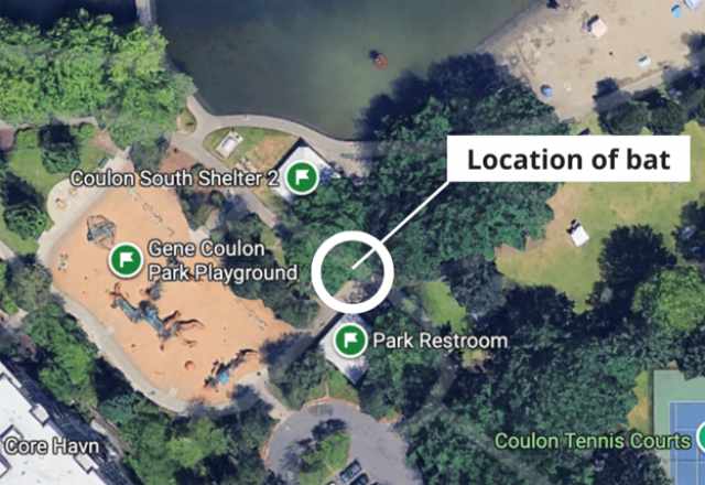 RabidBatRentonLocationMap