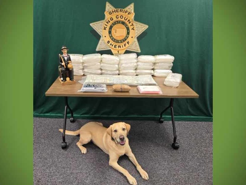 Drug bust yields meth, fentanyl, heroin, 3 arrests and more than $95,000, King County Sheriff’s Office says