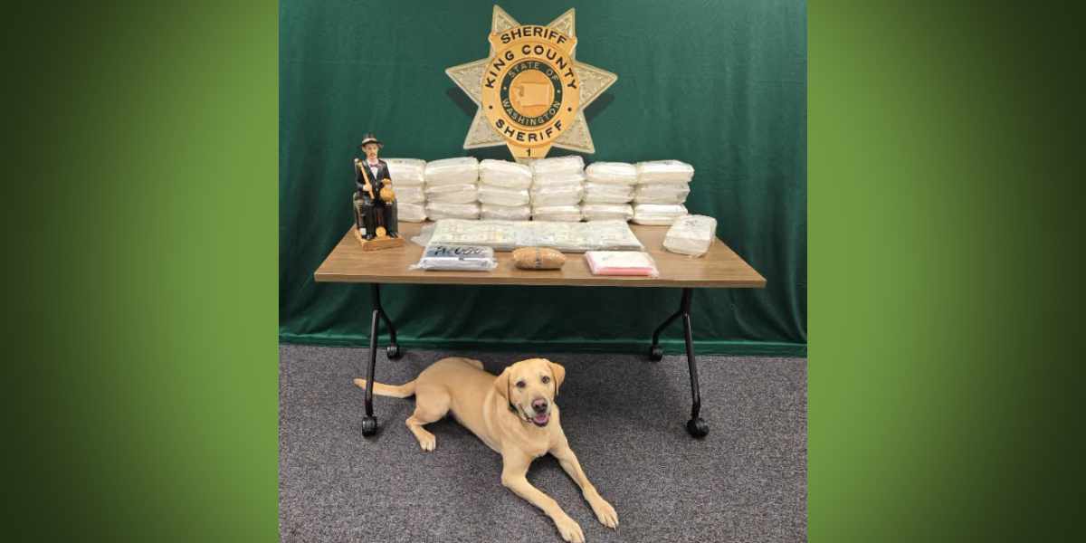 SKM KCSODrugBust071826