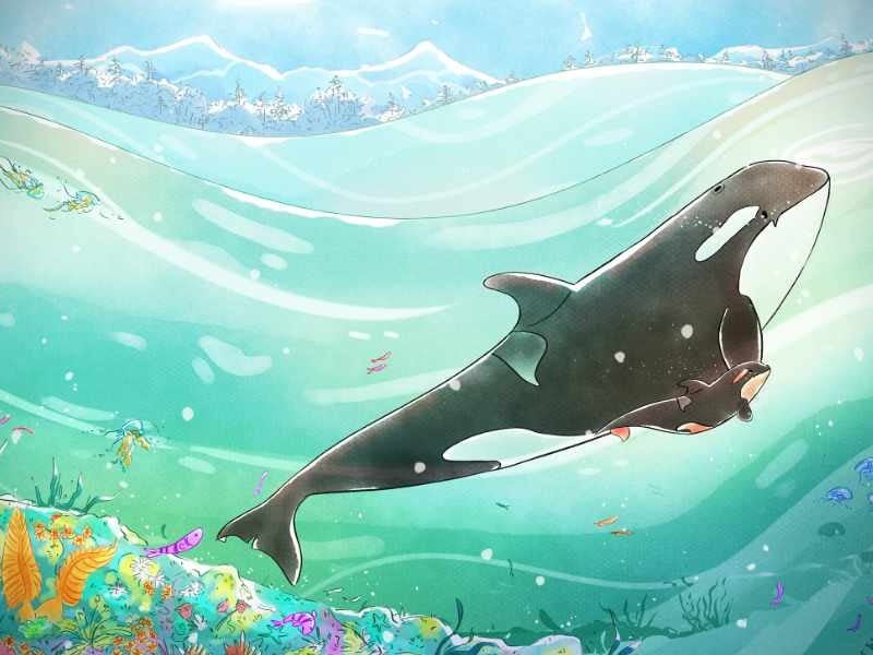 Discover ‘A Sea of Baby Orcas’ at free storytelling/art event at Environmental Science Center on Friday, Aug. 28