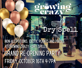 DrySpellGrandreopeningPartyAd