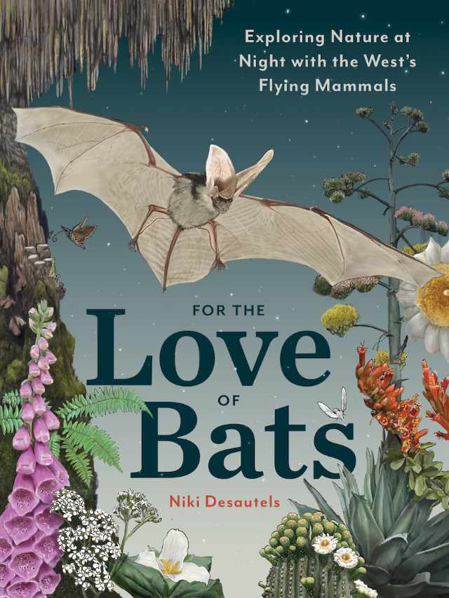ForTheLoveOfBats Cover Final 640